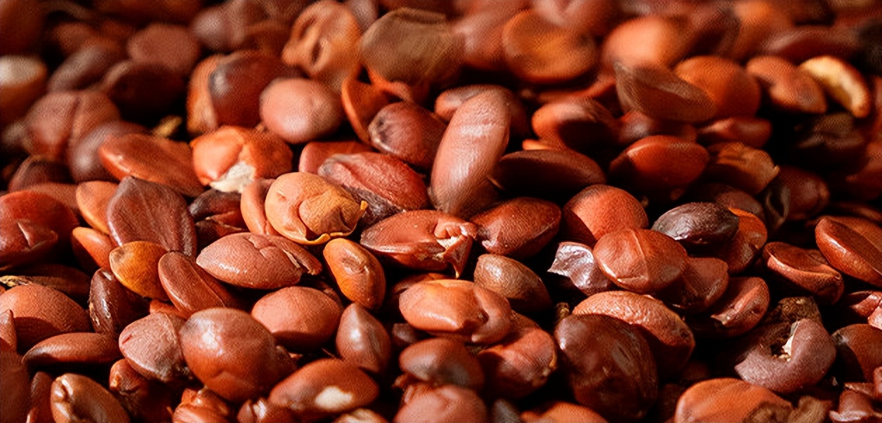 上新|草本呵护晚安汤,告别难眠的夜