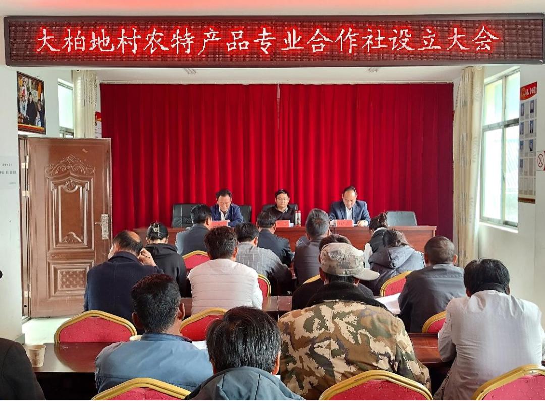 设立农民专业合作社激发乡村振兴新动能——云南省委政法委驻村工作队牵头组织成立挂联村农民专业合作社