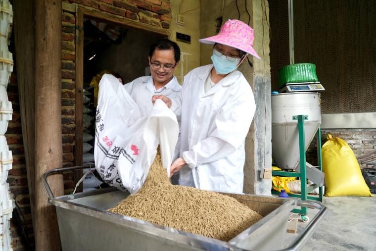 养殖种兔发家致富路,特色兔养殖走上致富路