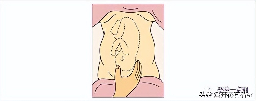 不懂经常摸自己孕肚没事吧,怎么摸肚子能感觉到胎儿在动