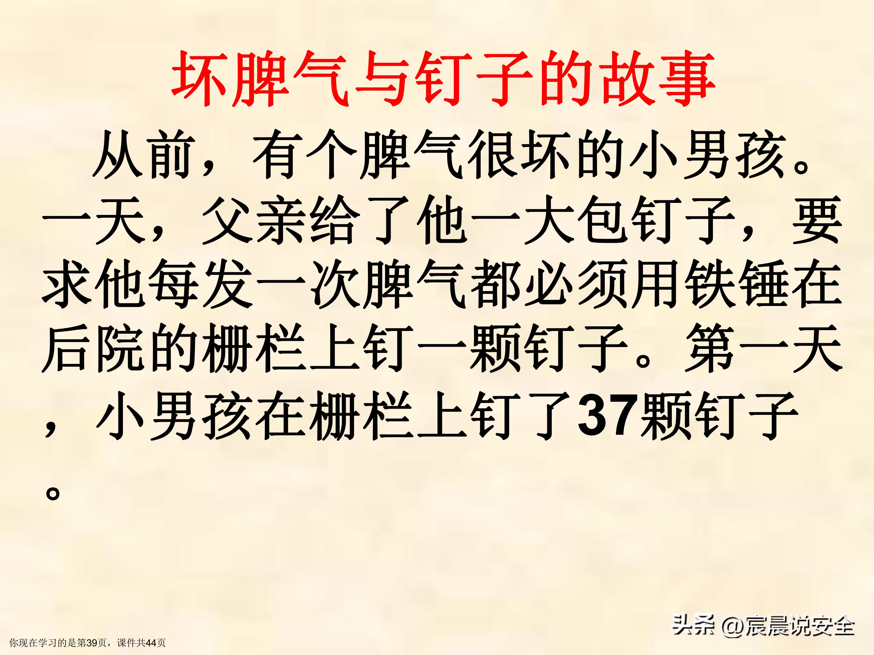 【EHS课件】游泳池游泳安全教育课件PPT