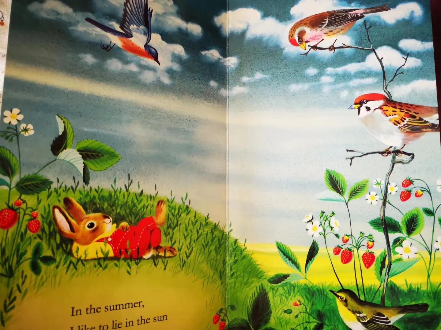 怎么给7岁零基础的孩子英语启蒙 (如何给0-3岁宝宝进行英语启蒙)