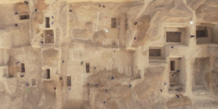 浙江老农翻建老宅竟再挖出天价宝,浙江老农翻新房子