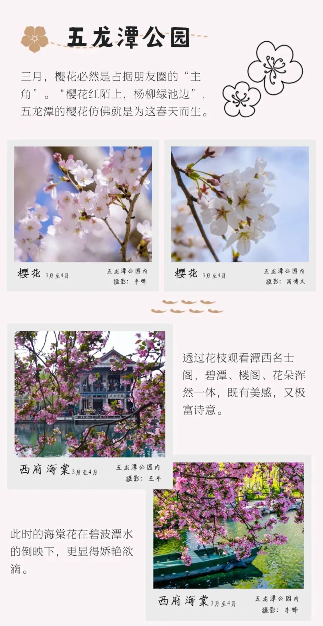 踏青济南攻略,济南黄河边春游攻略