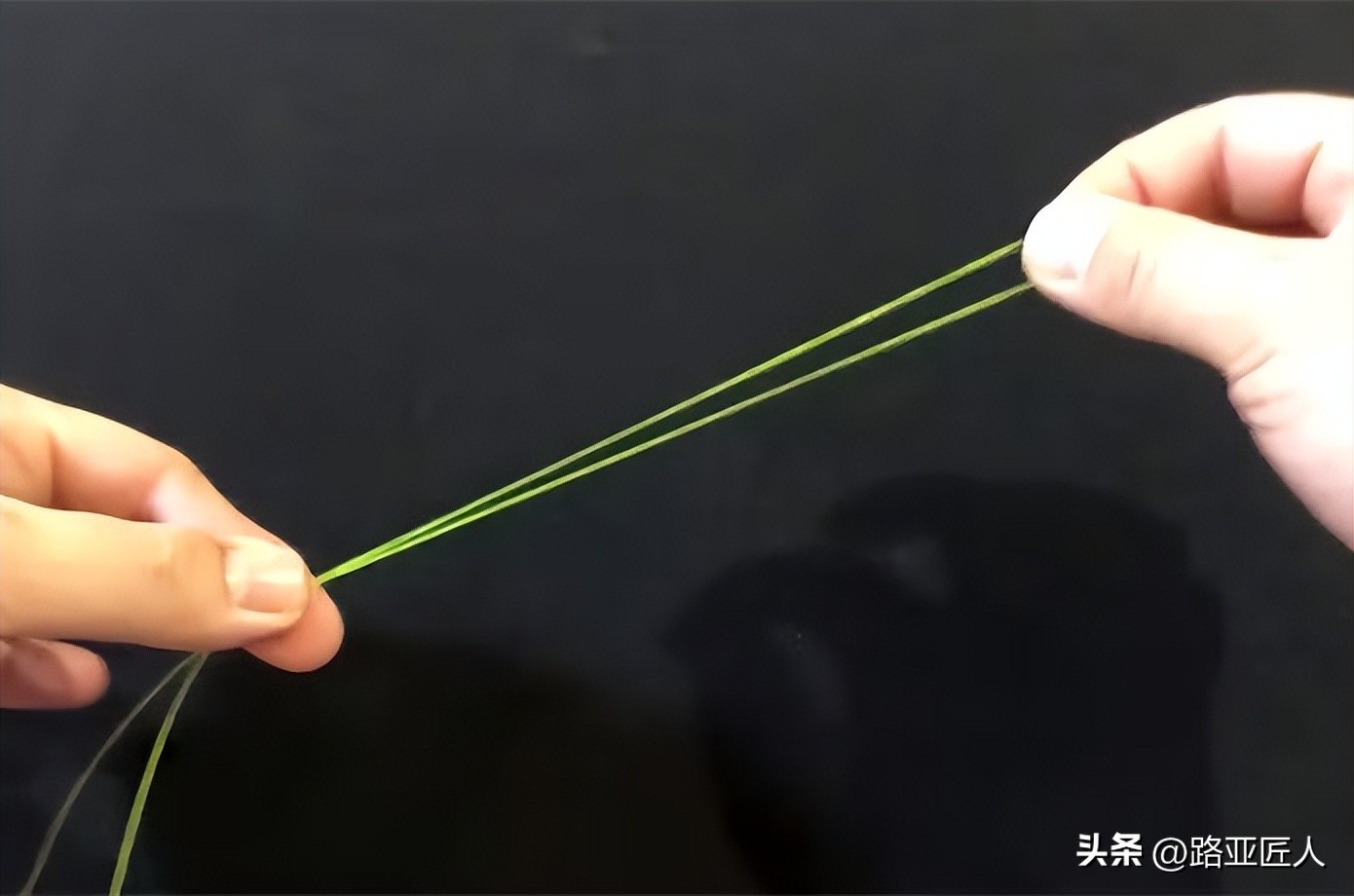 sc结的正确打法视频,sc结最简单绑法