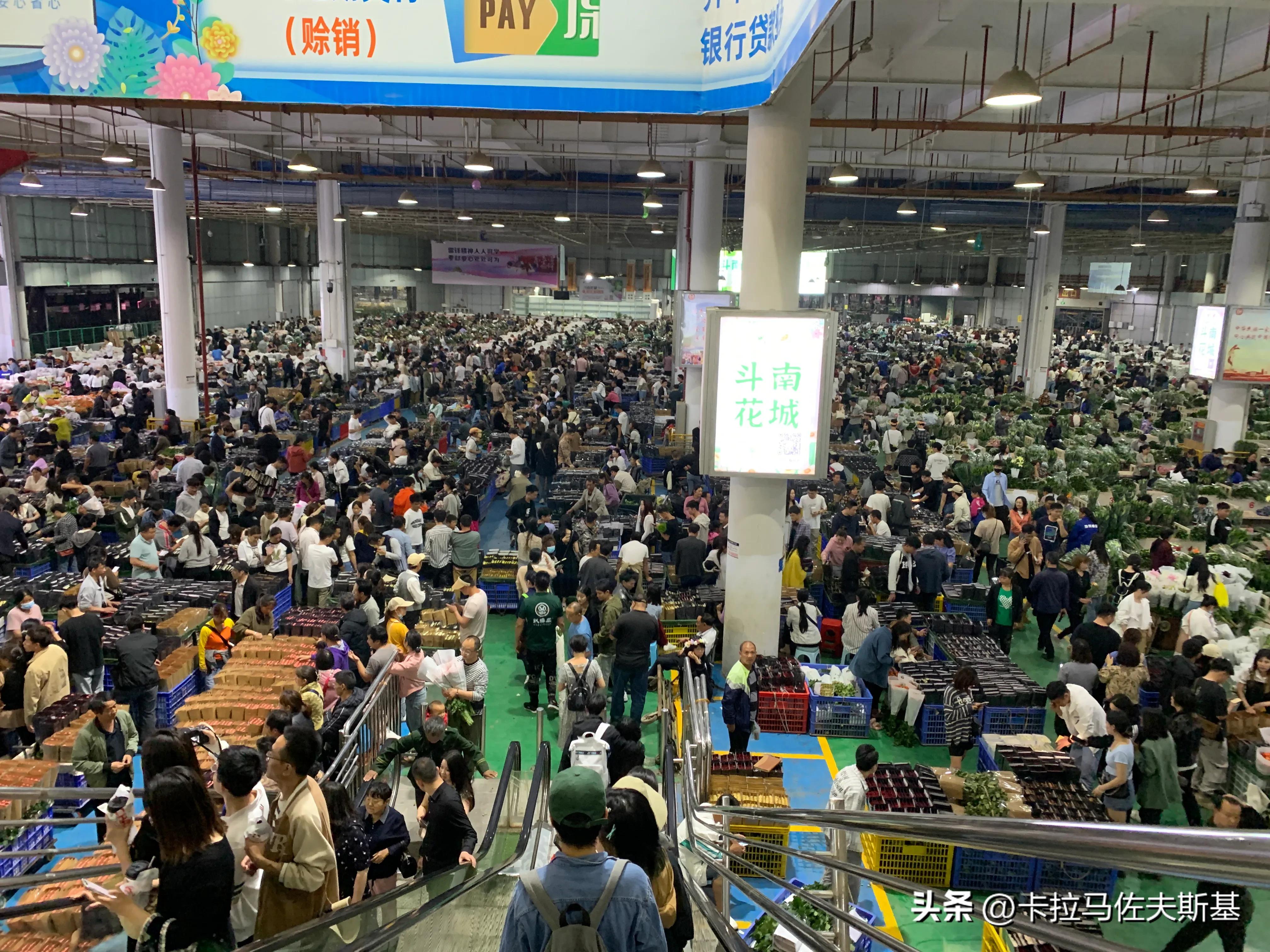 为什么要去云南腾冲芒市瑞丽旅游,芒市瑞丽腾冲旅游五一