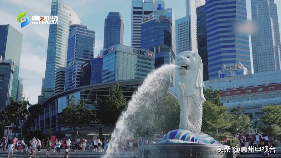 旅行社恢复出境游,旅行社出境团队游逐步恢复