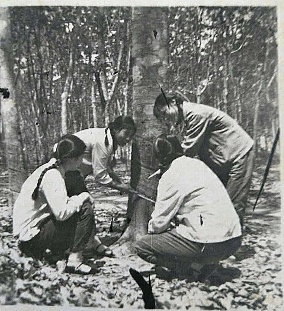 鐭ラ潚鍥炲璺笂纰板埌鍧忎汉,鐭ラ潚杩斾埂閬囪鍧忎汉骞稿ソ灏忎紮鍑烘墜