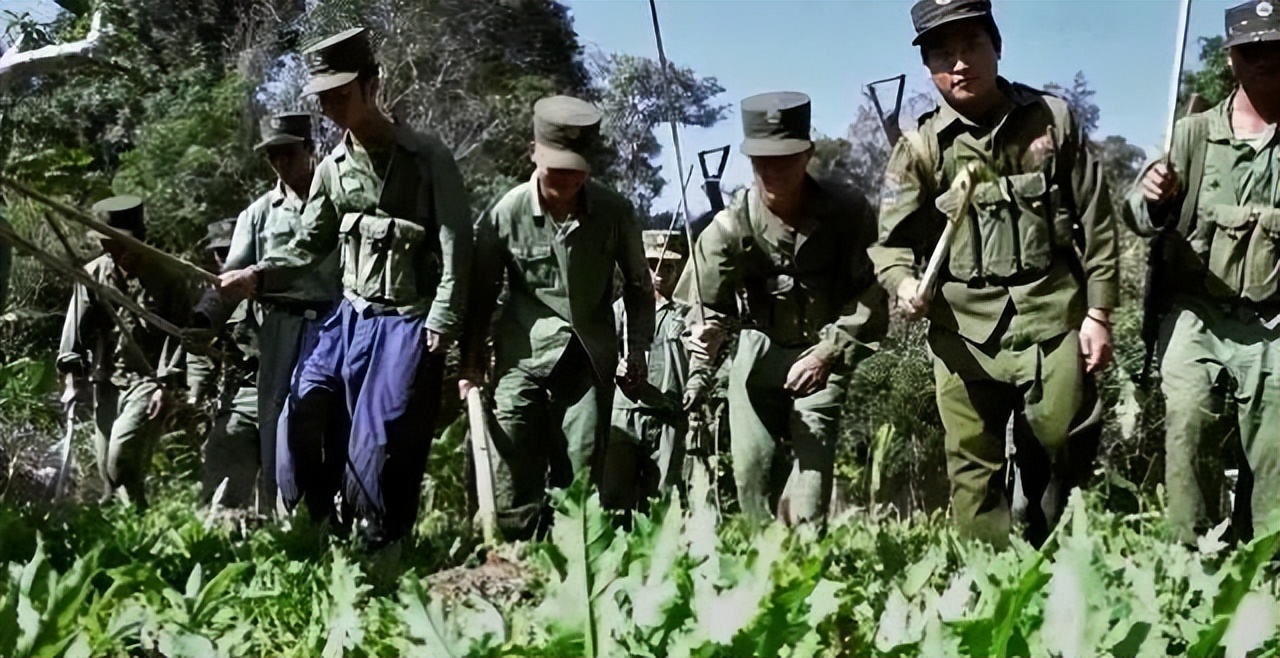 李赛高是不是诈骗犯,李赛高真的是诈骗犯吗