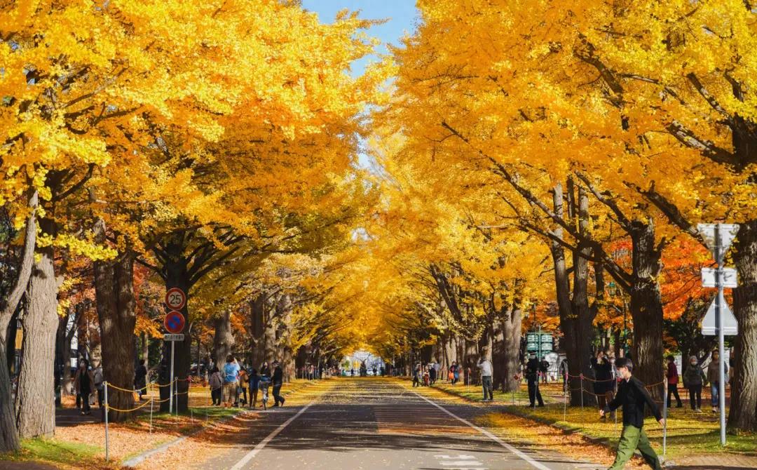 日本北海道大学,日本北海道大学介绍