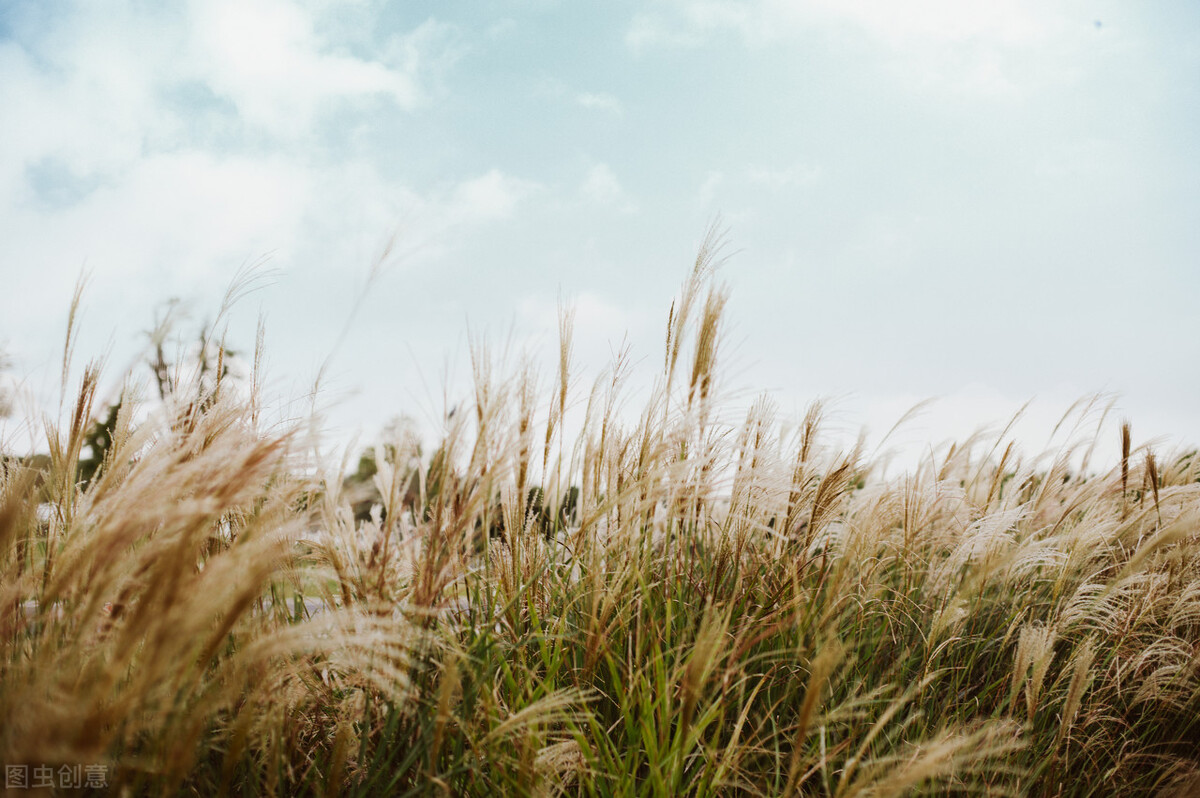 觉察自己负面情绪的教学活动,一个快速摆脱情绪的方法