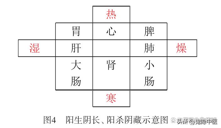 《黄帝内经》五运六气标本中气理论通析