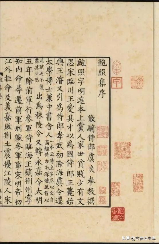 抄本命名大全,抄本有什么特征