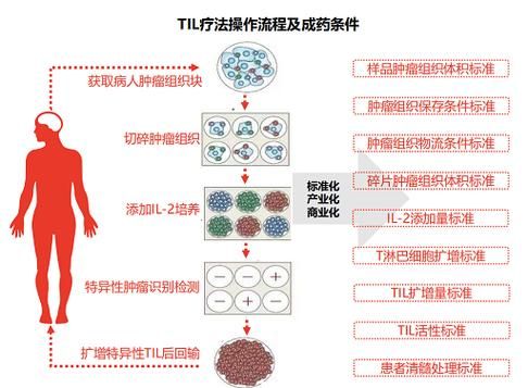 2023年治疗癌症技术开发展望,中国医疗癌症治愈率2030