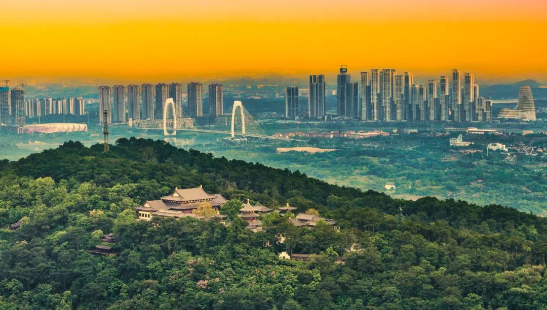 打飞的都要去坐的动车,怎么每站都这么好看