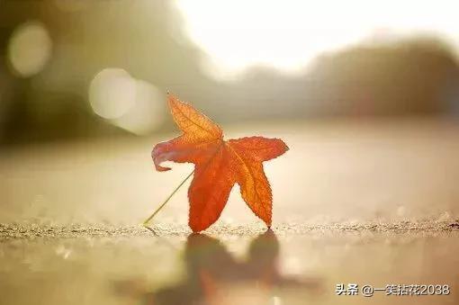 腊八节追思天堂的亲人,腊八节的特殊记忆