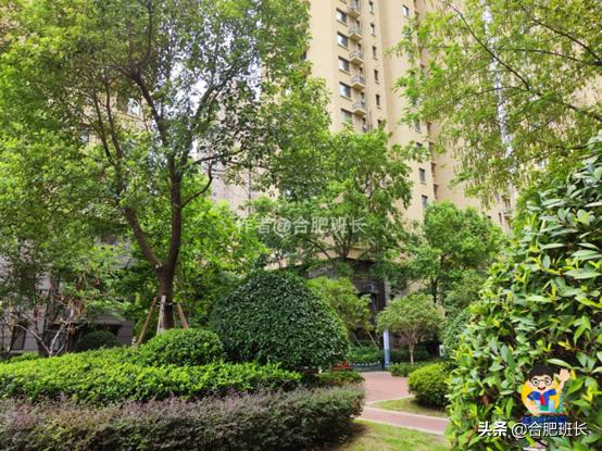 滨湖万科蓝山公区,滨湖万科蓝山容积率