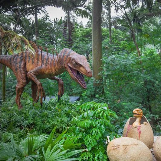 广州长隆野生动物世界有大象吗,广州长隆野生动物世界有多少动物