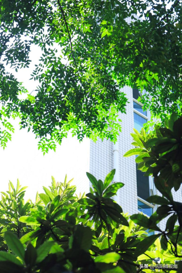 信阳师范大学：建设高水平师范大学，我们始终在路上