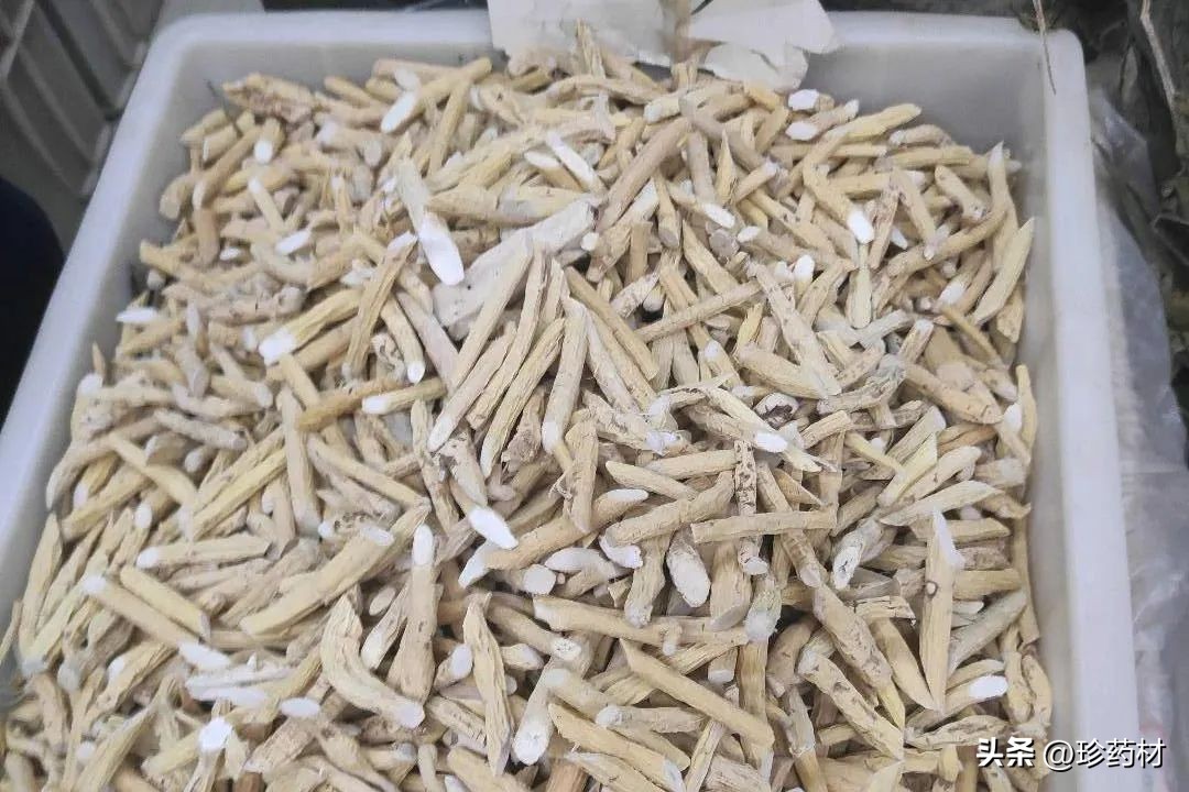 中药材牛大力目前收购价,8月4日药材市场行情