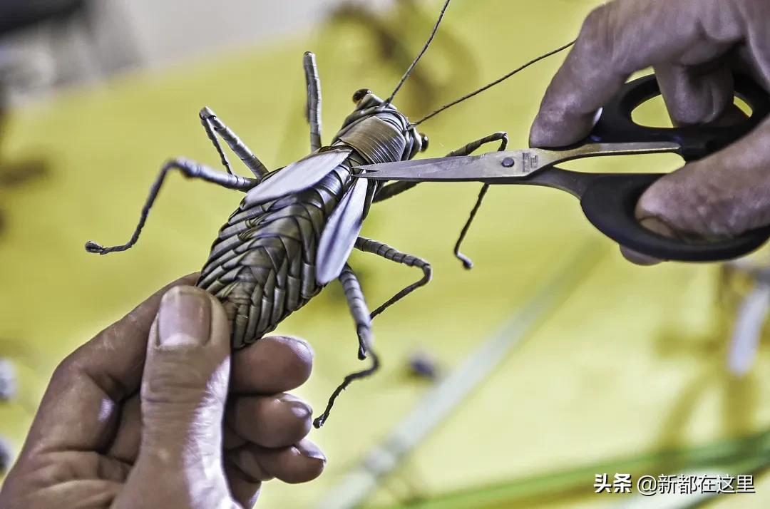 邂逅成都的100个生活细节,邂逅成都的一百个细节