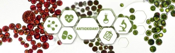 bgg基因虾青素,bgg虾青素