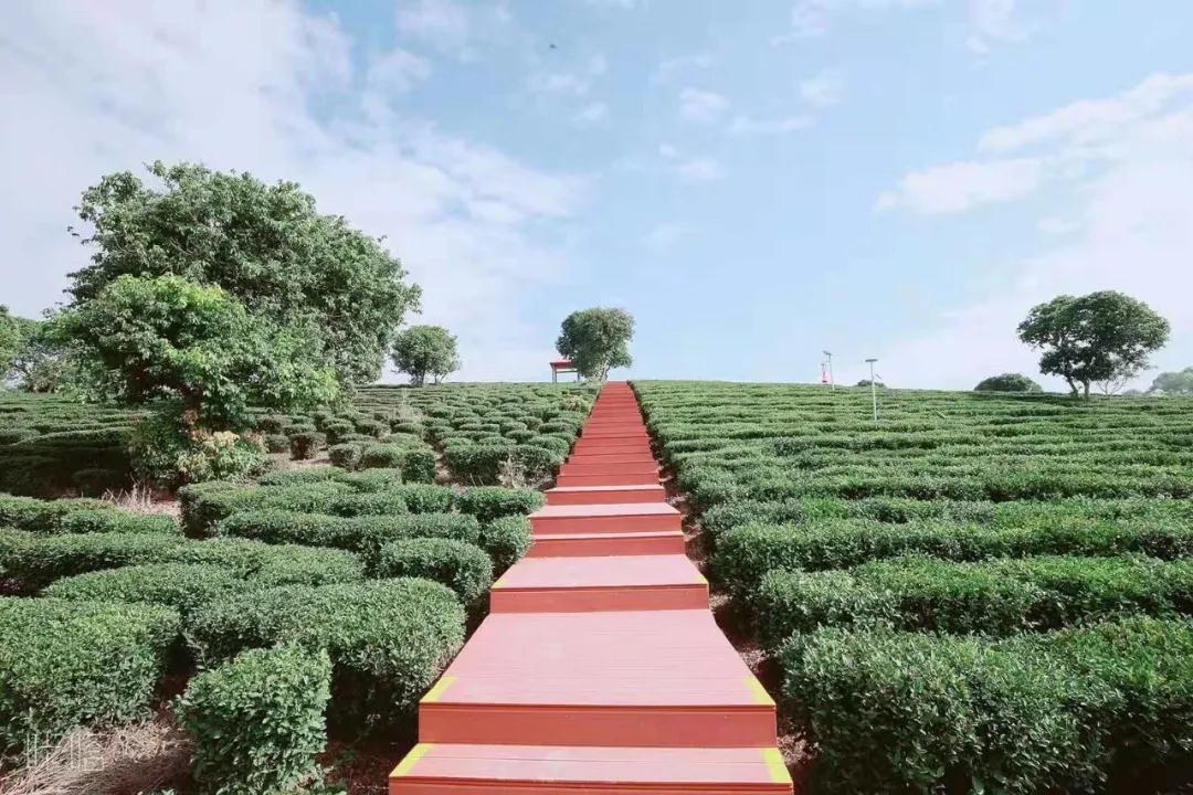 惠州柏塘罗浮山,惠州出发2天一夜旅游攻略图