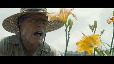 好莱坞惊艳的导演,好莱坞著名导演