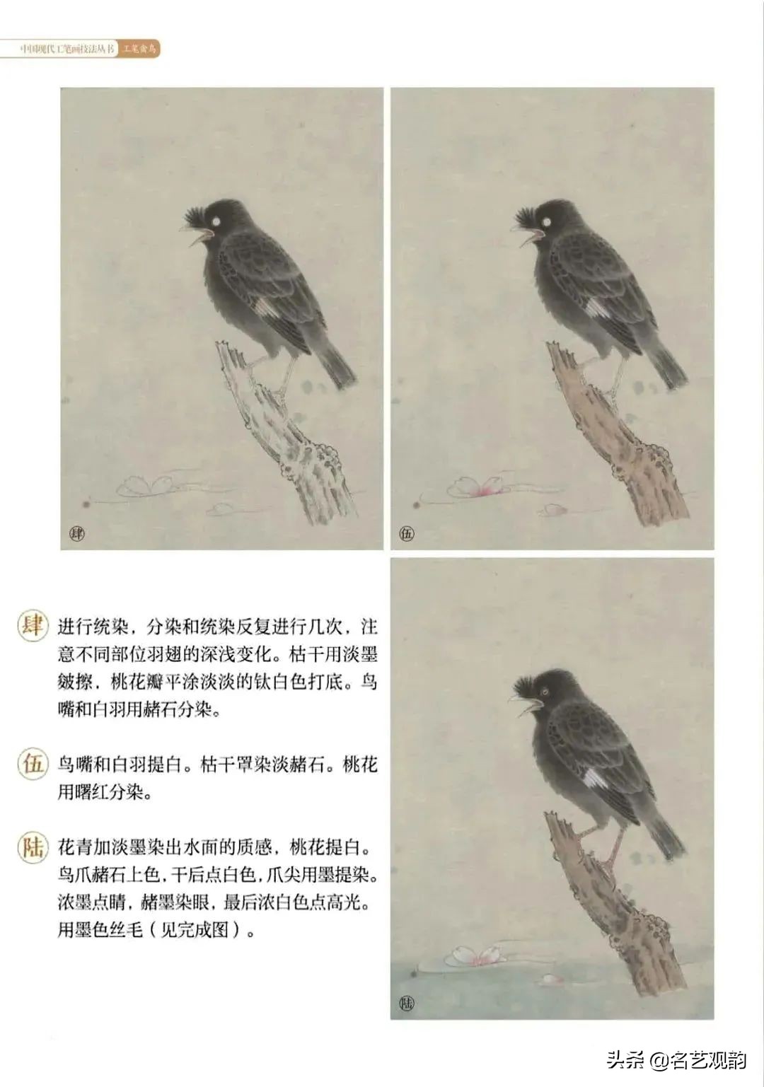 国画禽鸟写意教学视频,工笔禽鸟圆扇图片大全
