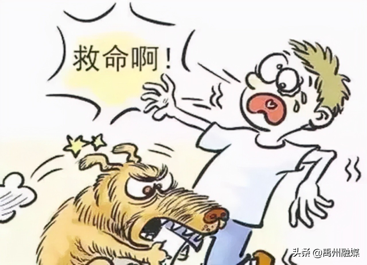 不小心被狗狗抓伤怎么办,不小心被狗撞了怎么办