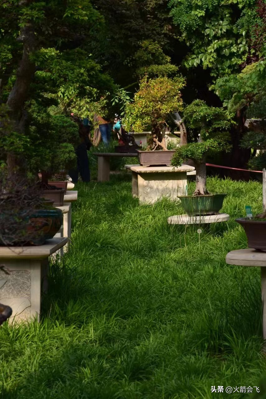 天津旅行攻略七日游价格多少,12小时极限游天津