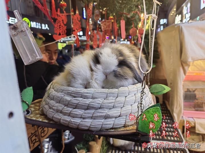 2024年该入手的平板有哪些,2023年最好用的平板是什么