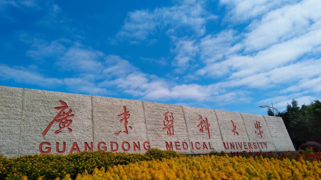 广东医科大学2023年定向生,广东医科大学2015招生计划表