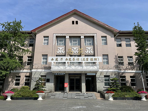 鍒濆涔嬫梾榛勯噾娴峰哺,鍒濆涔嬫梾