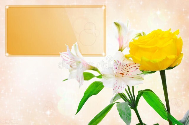 四大名花象征的品格,各种花的寓意和象征意义