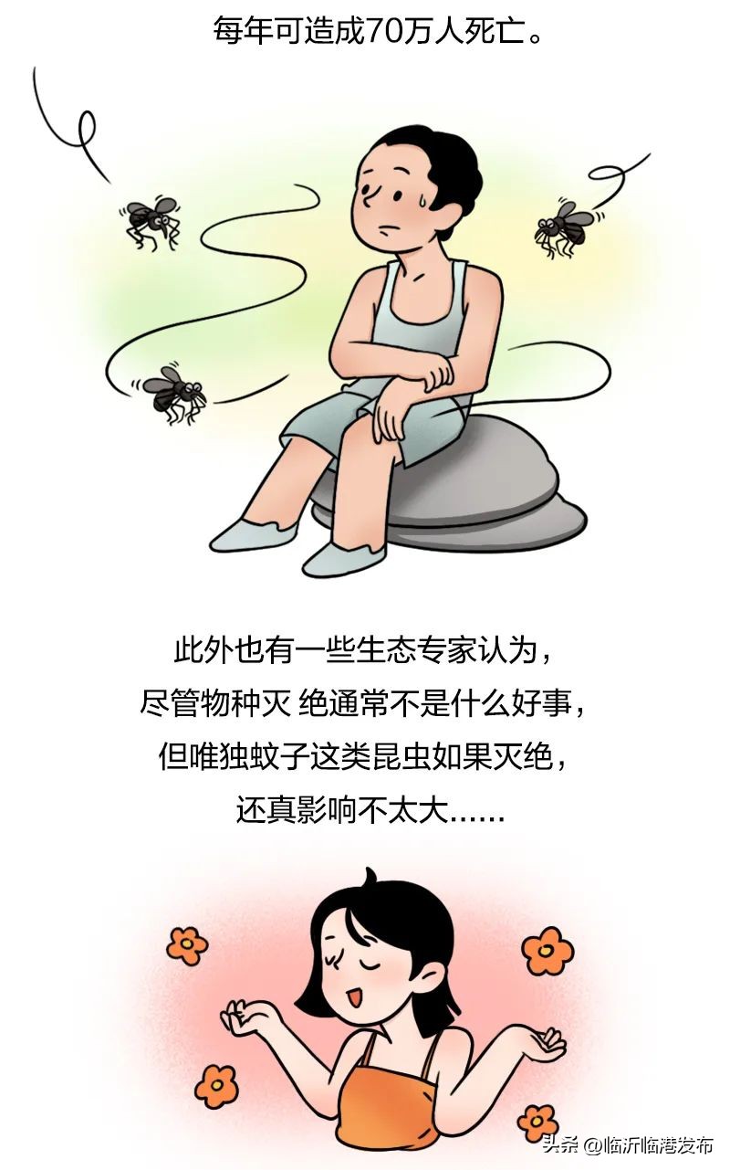 为什么不将蚊子赶尽杀绝,彻底绝杀蚊子的妙招