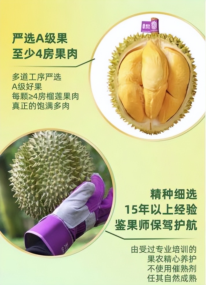 越南进口榴莲专柜现场,越南榴莲一手货源