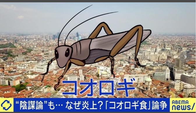 日本蟋蟀巧克力发售！早稻田大学宣布量产