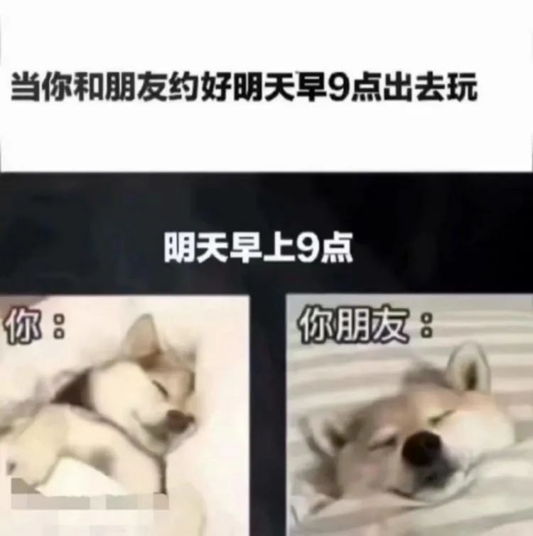 ​好喜欢幽默的互联网友人|冷段子2299去年今日1941