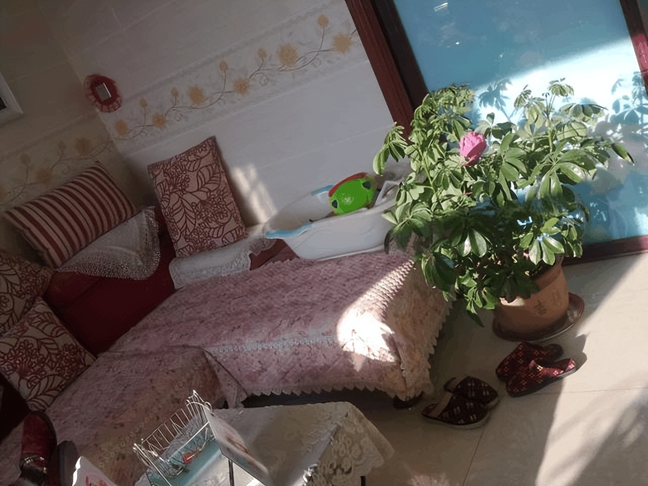 什么花卉吸甲醛最好养,10种能吸甲醛净化空气的盆栽花草