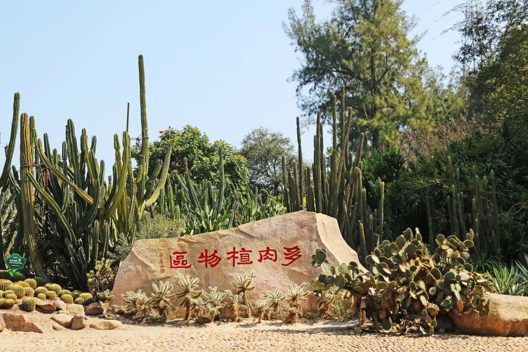 厦门旅游攻略亲子五天四晚冬季游,厦门晚上亲子旅游