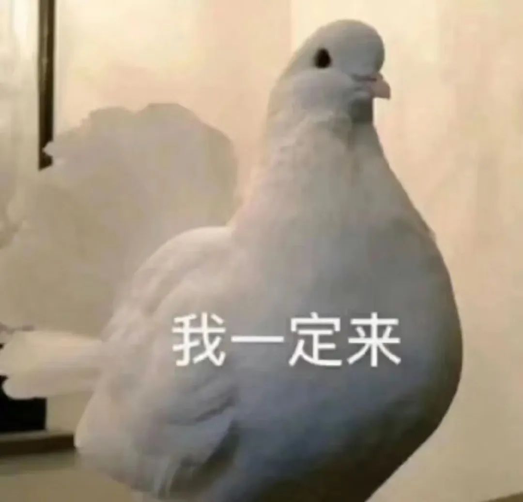 城市里最适合养老的房子,适合养老的花园惬意洋房