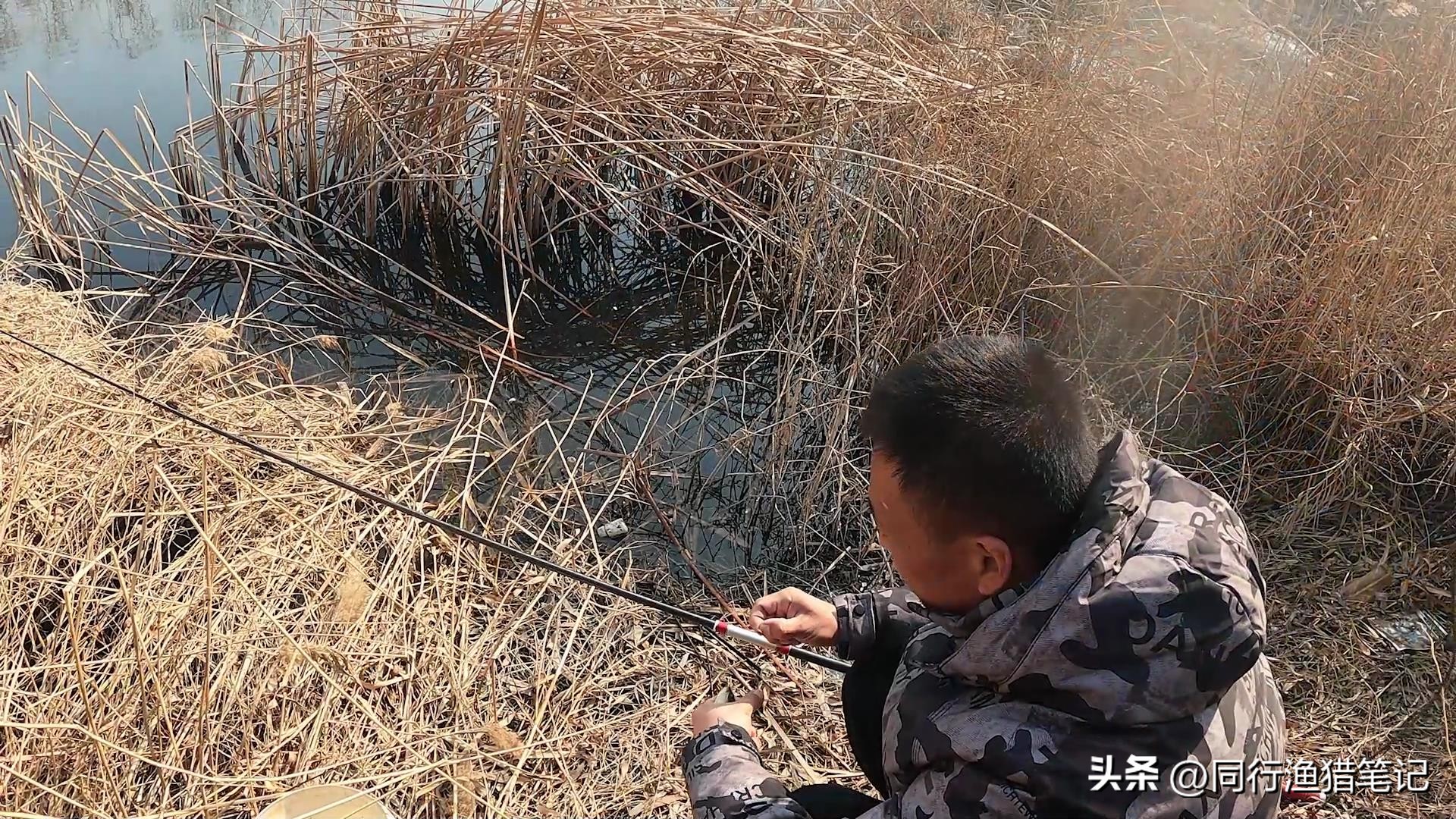 买鱼竿避开大品牌,选鱼竿别盲目