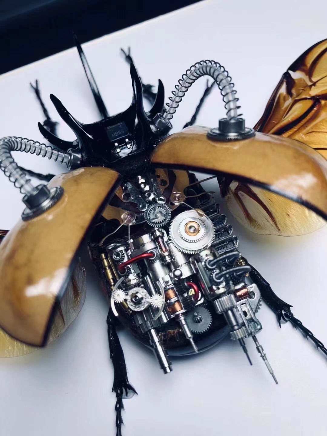 蒸汽朋克蝴蝶标本制作,甲虫标本蒸汽朋克制作