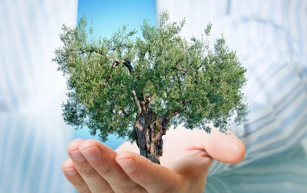 27岁小伙查出结肠癌后续还活着吗,17岁结肠癌晚期