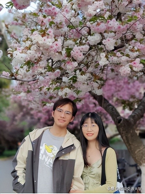 “春见”仙交，樱寄情思