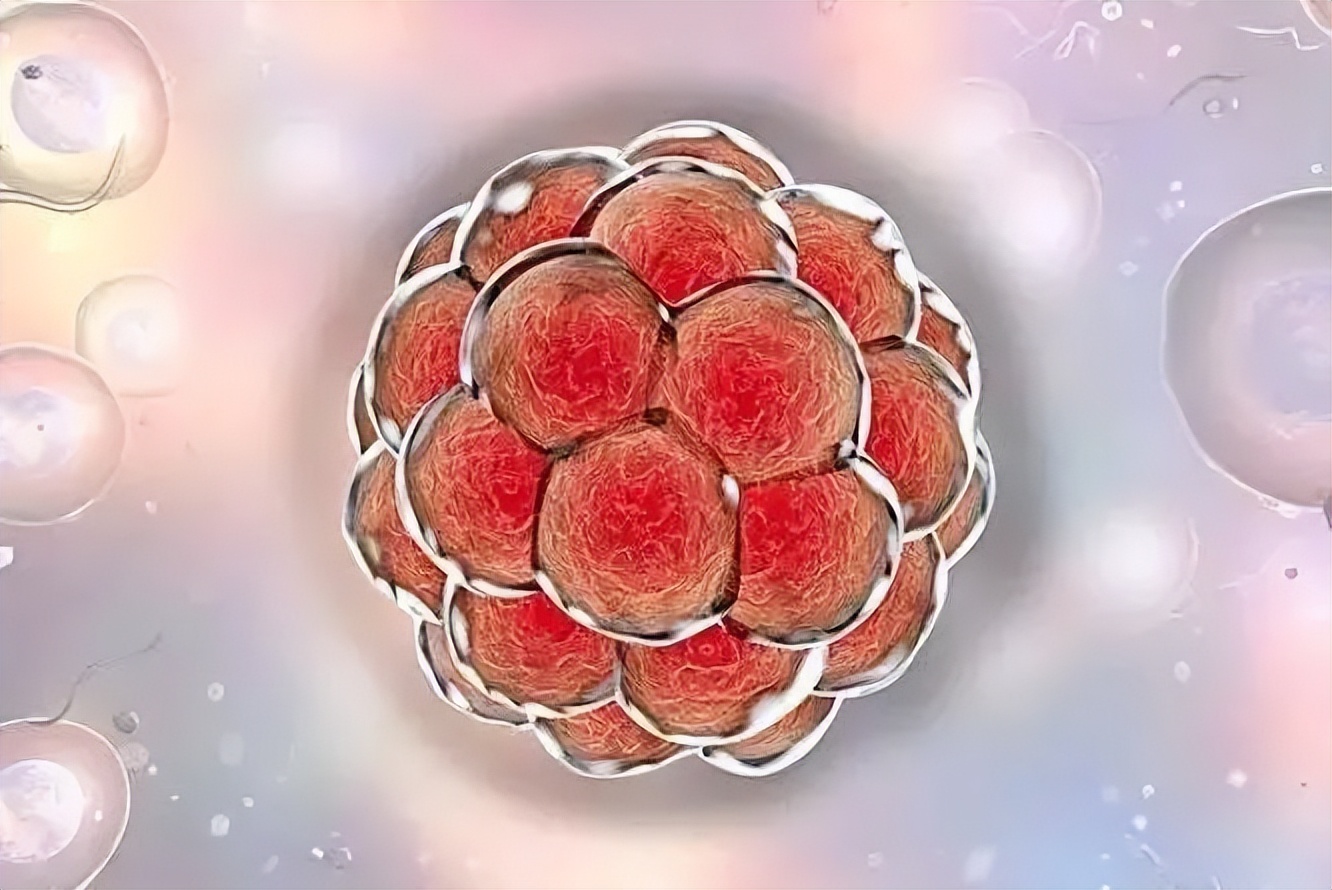 女性吃什么药能快速怀孕,想要快速怀孕的方法