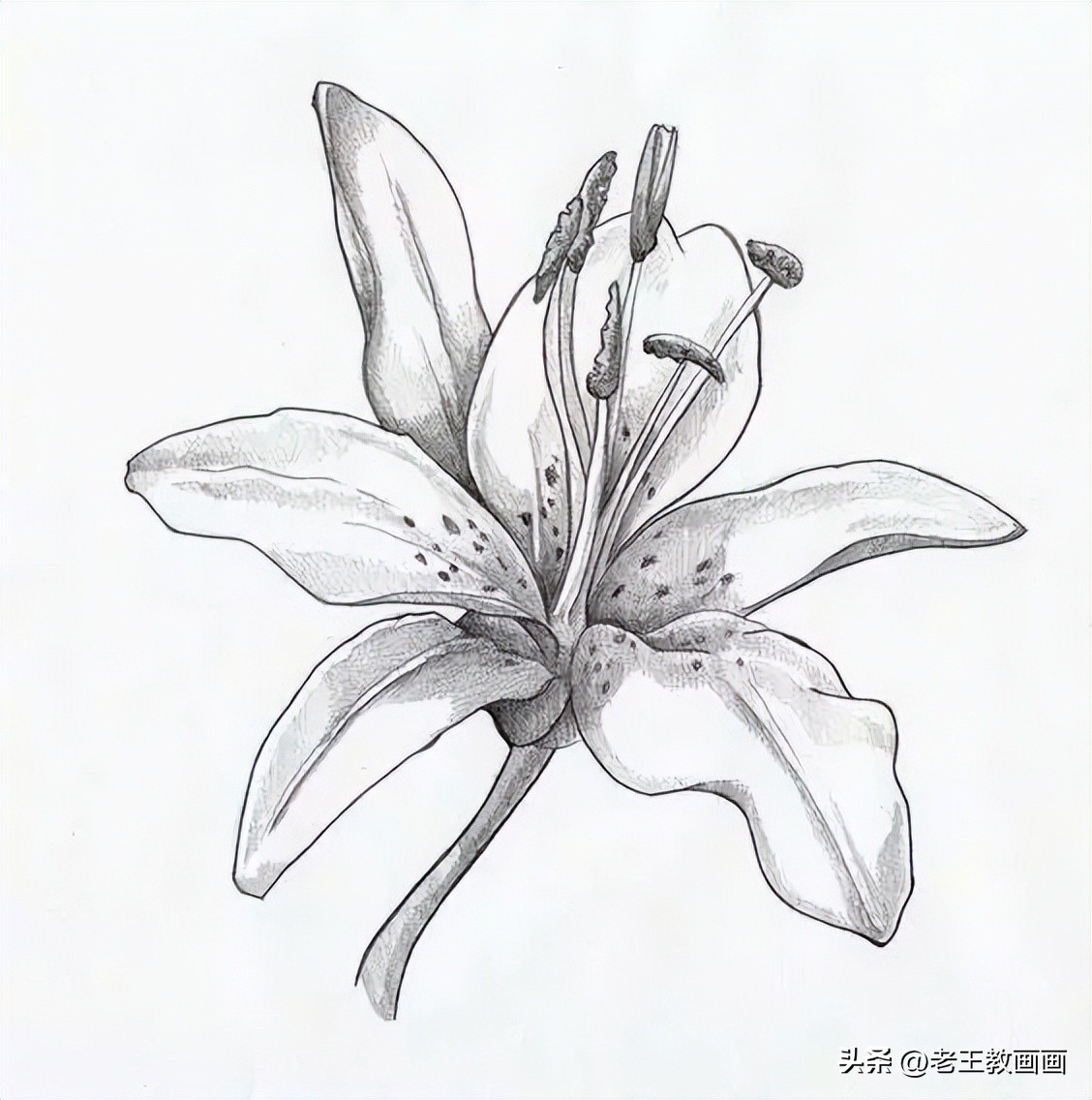 100种绘画基础入门,100幅零基础绘画教程