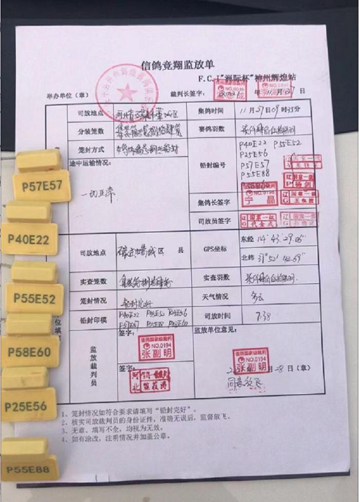 国际公棚鸽王赛奖杯,国际公棚赛