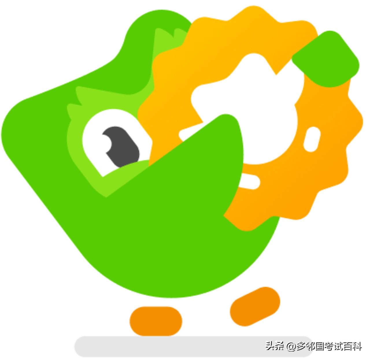 duolingo英语测试有什么用,如何准备duolingo英语测试